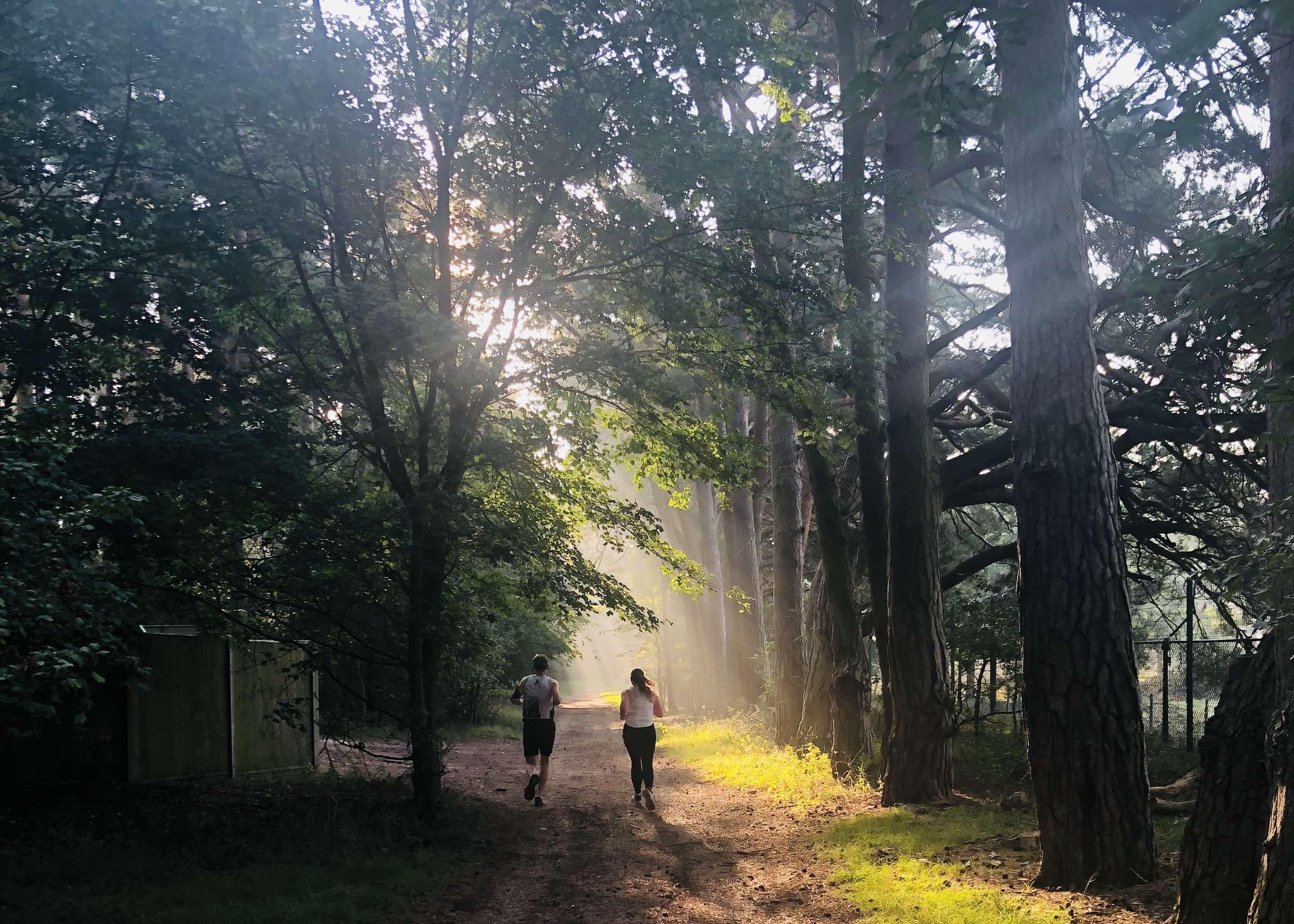 A man and a woman running along a forest path lit by brigh sunlight.